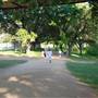 Hike & Bike Trail at Lady Bird Lake