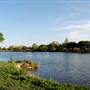 Hike & Bike Trail at Lady Bird Lake
