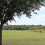 Kaufman Sports Complex