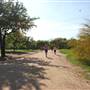 Hike & Bike Trail at Lady Bird Lake