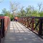 Hike & Bike Trail at Lady Bird Lake