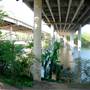 Hike & Bike Trail at Lady Bird Lake