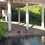 Hike & Bike Trail at Lady Bird Lake