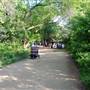 Hike & Bike Trail at Lady Bird Lake