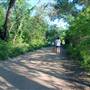 Hike & Bike Trail at Lady Bird Lake