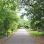 Phil Hardberger Park