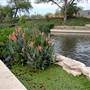 San Antonio River Walk