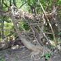 McKinney Falls State Park