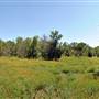 McKinney Falls State Park