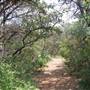 Eisenhower Park