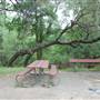 McAllister Park
