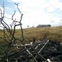 Maeshill Farm