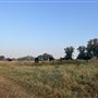 Evans Ranch