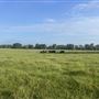 Evans Ranch