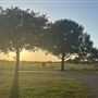 Evans Ranch