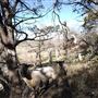 Four Winns Ranch