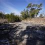 Four Winns Ranch