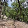 Riva Ridge