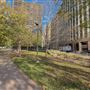 Civic Garden