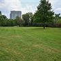 Buffalo Bayou Park