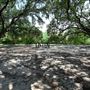 Buffalo Bayou Park