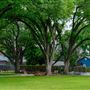 Conroe White House