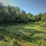 The Oaks of Anahuac