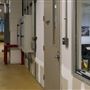 Vivaverse Campus