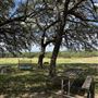 Rockin' Diamond S Ranch