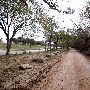 Lindeman Road along Blanco River