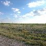 Loop 338 North of Odessa