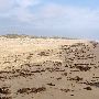 Boca Chica Beach & Dunes
