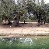 Bull Creek District Park
