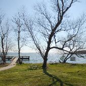 Lake Fayette Oak Thicket Park
