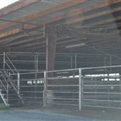 Atascosa County Stockyard