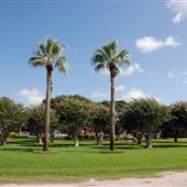 Palacios City Park