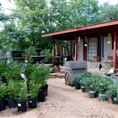 Hill Country Water Gardens & Nursery