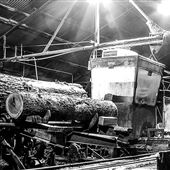 Historic Phillips Forest Products Sawmill
