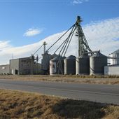 Top Tier Grain & Feed