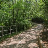Bob Findlay Linear Park