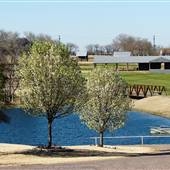 County of Collin: Myers Park and Event Center