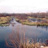 Mineola Nature Preserve