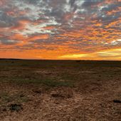 Boyd Ranch