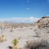 Big Bend National Park  - Fossil Bone Overlook