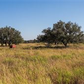 Bendele Property