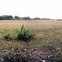 Storm Ranch