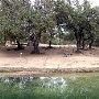 Bull Creek District Park