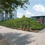 Discovery Green