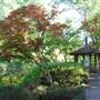Fort Worth Botanic Garden - Japanese Garden