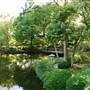 Fort Worth Botanic Garden - Japanese Garden